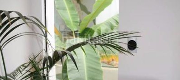 Вилла с 7 спальнями в Аликанте, Испания № 165952 6