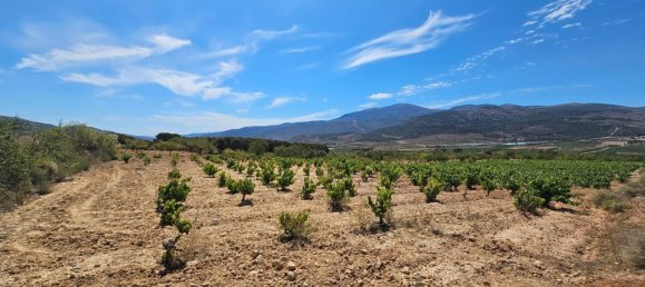 Terrain à Laujar de Andarax, Spain No. 163056 4