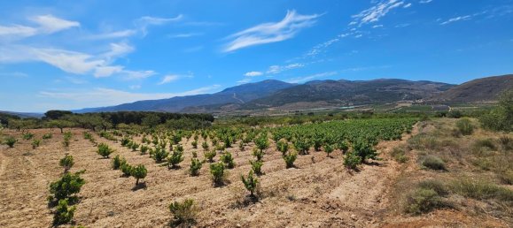 Terrain à Laujar de Andarax, Spain No. 163056 8