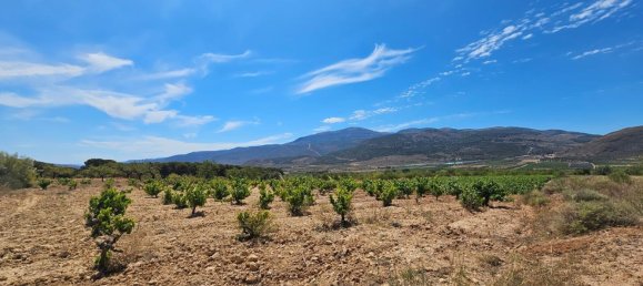 Terrain à Laujar de Andarax, Spain No. 163056 5