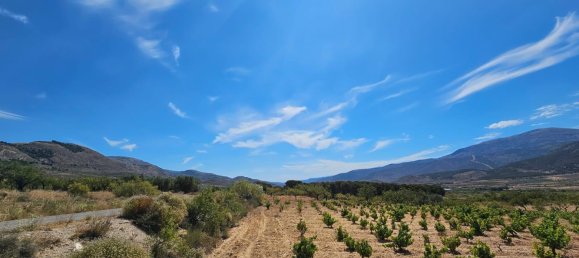 Terrain à Laujar de Andarax, Spain No. 163056 6