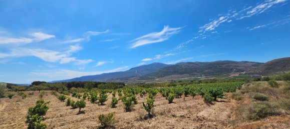 Terrain à Laujar de Andarax, Spain No. 163056 7