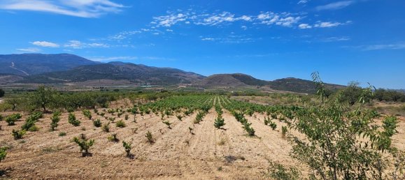 Terrain à Laujar de Andarax, Spain No. 163056 2