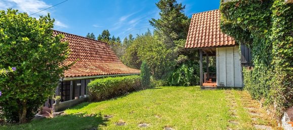 Casa T6 em Camacha, Portugal N.º 29244 15