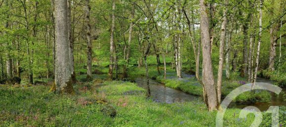 4 chambres Maison à Crevant, France No. 160052 11