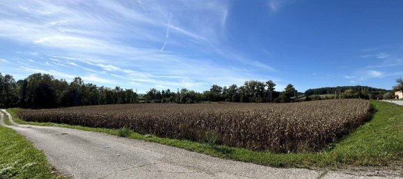 24000m² Land in Pichl bei Wels, Austria No. 32927 4