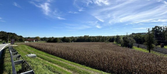 24000m² Land in Pichl bei Wels, Austria No. 32927 5