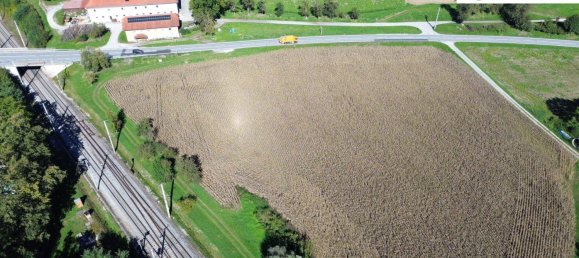 24000m² Land in Pichl bei Wels, Austria No. 32927 3