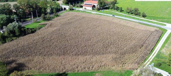 24000m² Land in Pichl bei Wels, Austria No. 32927 7