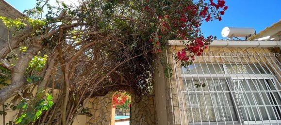 8 chambres Maison à Sao Bartolomeu de Messines, Portugal No. 93105 38