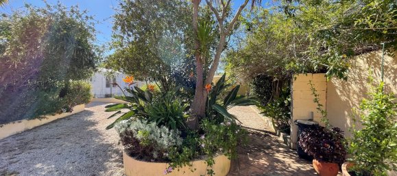 8 chambres Maison à Sao Bartolomeu de Messines, Portugal No. 93105 42