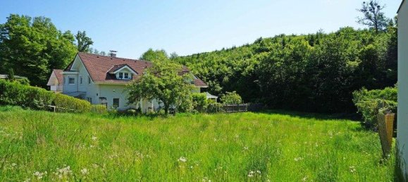 Grundstück in Breitenfurt bei Wien, Austria 1079m², Nr. 165185 2