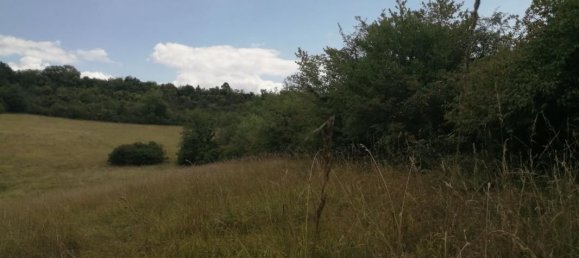 2 Schlafzimmer Haus in Dordogne, France, Nr. 293801 9