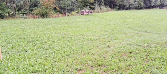  Land in Pyhra, Austria No. 233678 7