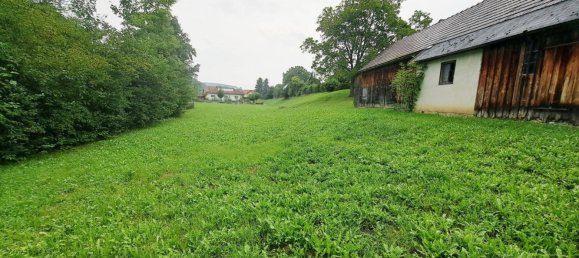  Land in Pyhra, Austria No. 233678 4