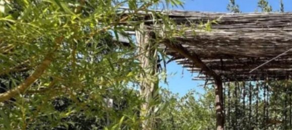 10 bedrooms House in Ourem, Portugal No. 122302 26