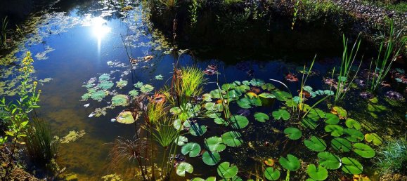 10 bedrooms House in Ourem, Portugal No. 122302 4