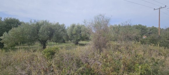 Отель, гостиница 5100м² в Халкидики, Центральная Македония, Македония и Фракия, Греция № 53533 2