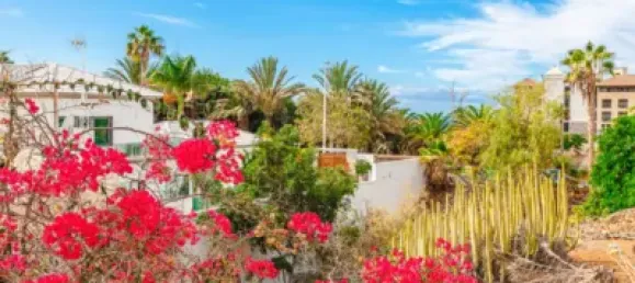 3 bedrooms Townhouse in Adeje, Spain No. 62204 17