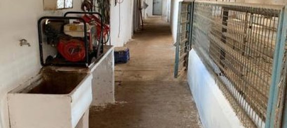 قطعة أرض في Chulilla, Spain 10000متر مربع رقم 152871 8