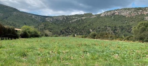 قطعة أرض في Chulilla, Spain 10000متر مربع رقم 152871 7