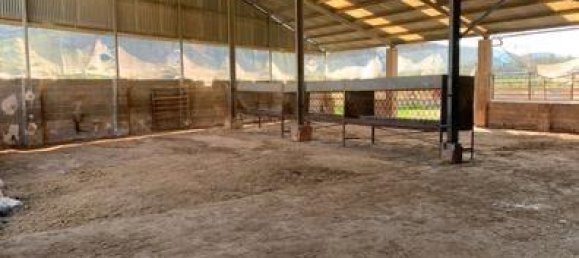 قطعة أرض في Chulilla, Spain 10000متر مربع رقم 152871 3