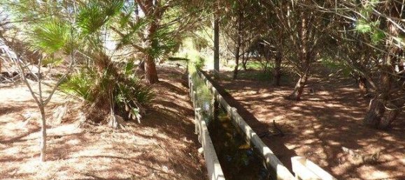 6 bedrooms Land in Silves, Portugal No. 157137 9