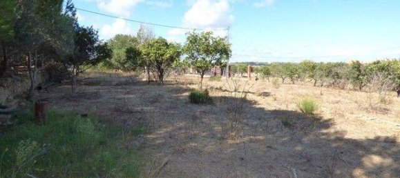 6 bedrooms Land in Silves, Portugal No. 157137 10