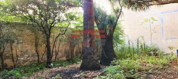 10 rooms Apartment in Palermo, Italy No. 129068 12