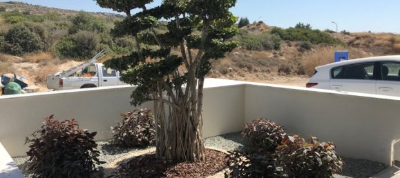 Villa de 7 habitaciónes en Limassol, Cyprus No. 2024 14