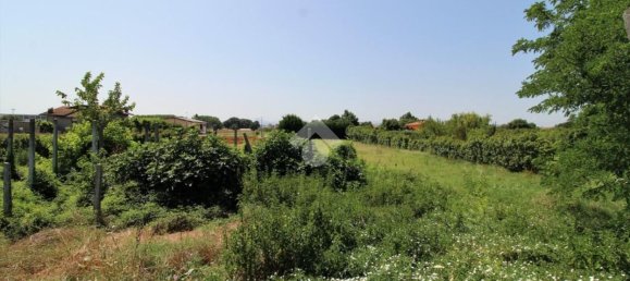 Земельный участок 4900м² в Гаттео, Италия № 204869 6