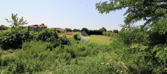 Земельный участок 4900м² в Гаттео, Италия № 204869 16