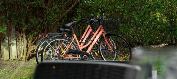 3 bedrooms House in Grandola, Portugal No. 18601 42