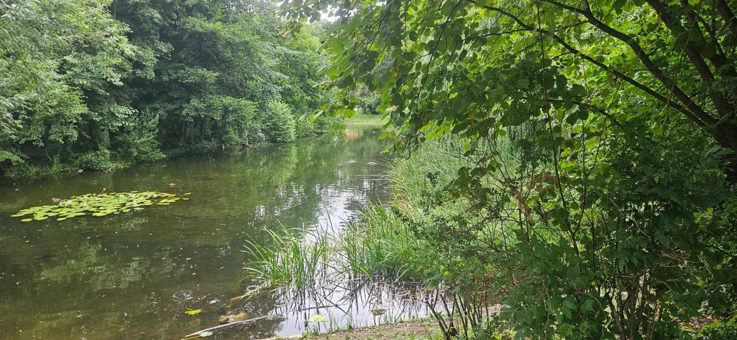 Apartamento de 4 habitaciónes en Wahring, Austria No. 258418