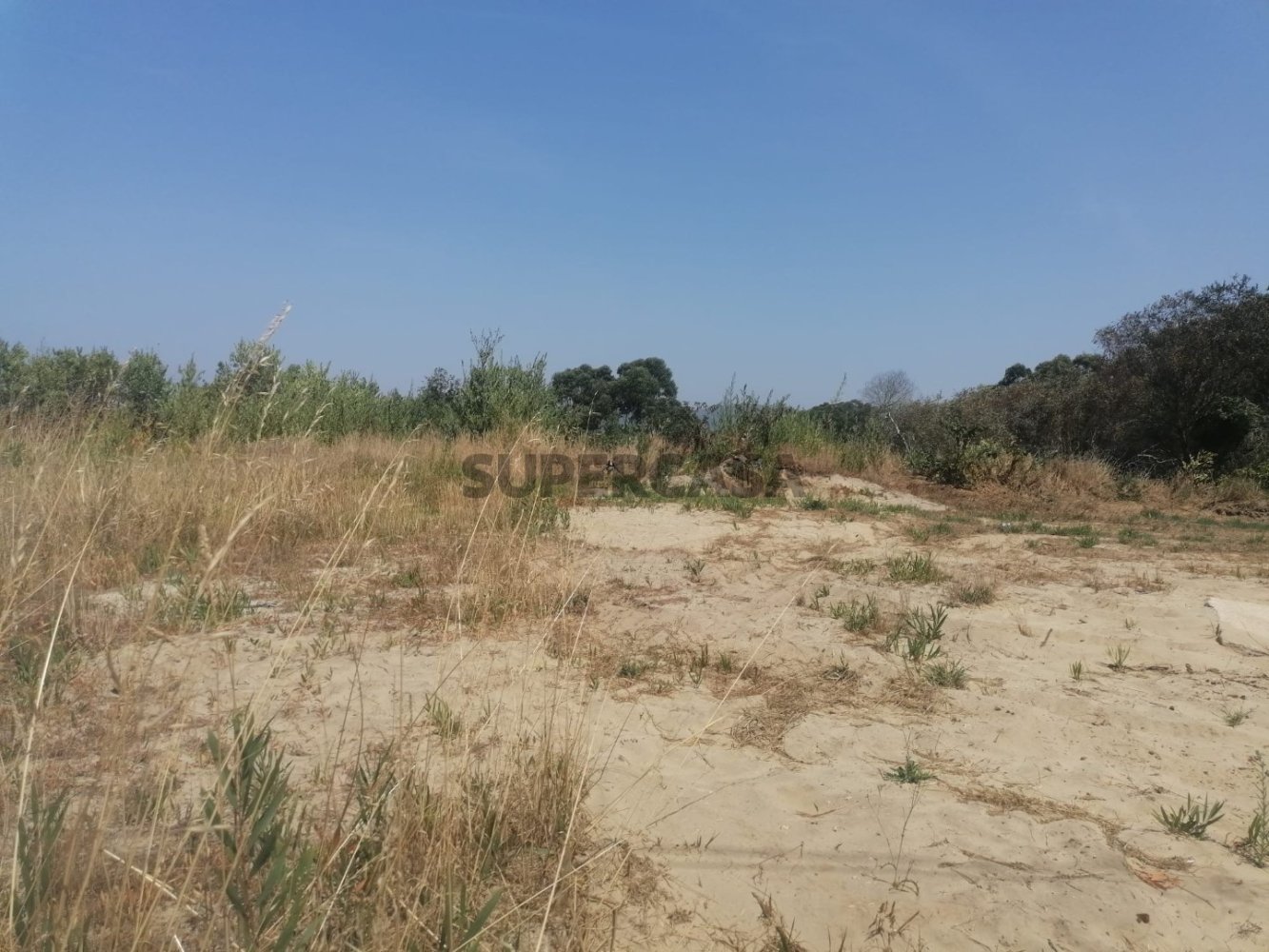  Land in Caminha, Portugal No. 241403