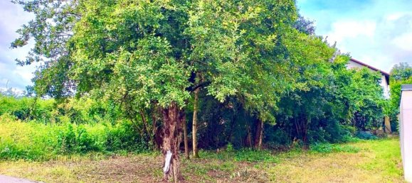 Terreno en Bamberg, Germany No. 119779 2