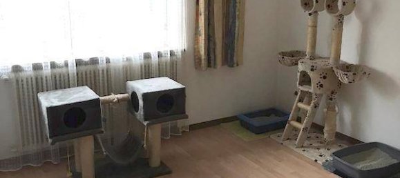 661m² Commercial property in Eibiswald, Austria No. 101655 17