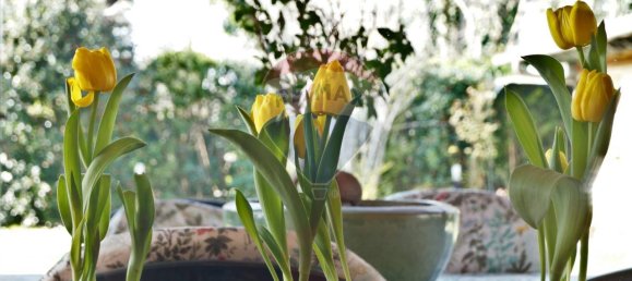 7-Zimmer Villa in Pietrasanta, Italy, Nr. 71153 32