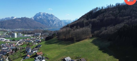 4772m² Land in Pinsdorf, Austria No. 162951 5