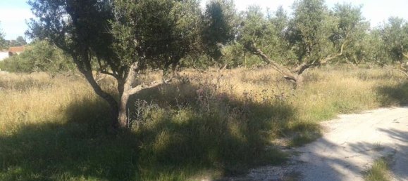 Hotel in Zakynthos, Greece, Nr. 434 5