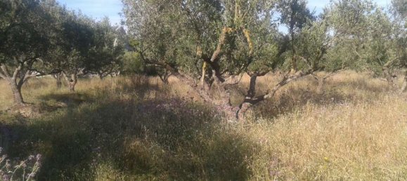 Hotel in Zakynthos, Greece, Nr. 434 8