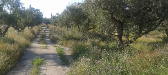 Hotel in Zakynthos, Greece, Nr. 434 9