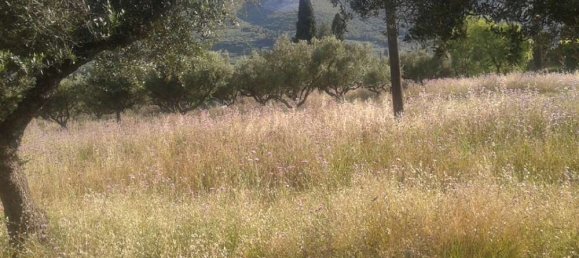 Hotel in Zakynthos, Greece, Nr. 434 11