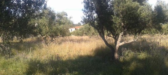 Hotel in Zakynthos, Greece, Nr. 434 10