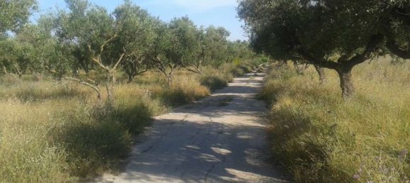 Hotel in Zakynthos, Greece, Nr. 434 7