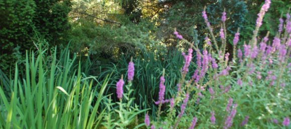 Casa T4 em Brandenburg, Germany N.º 63881 6