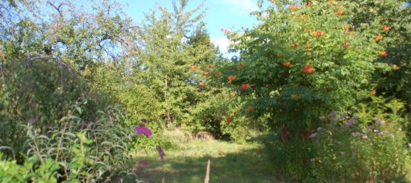 Casa T4 em Brandenburg, Germany N.º 63881 4