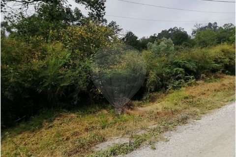 23050m² Land in Travassos, Portugal No. 197062
