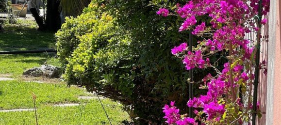 4 bedrooms Duplex in Pisa, Italy No. 70311 31