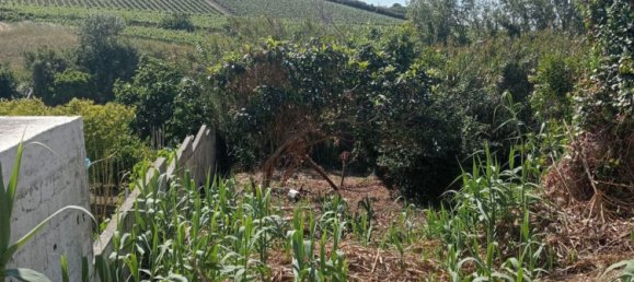  Land in Torres Vedras, Portugal No. 189856 5